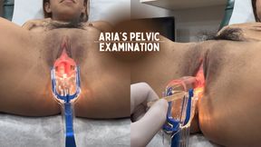 Aria’s Pelvic Exam 1080p