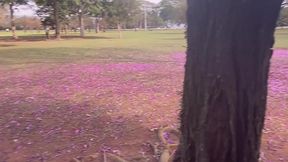 acabei fodendo na rua