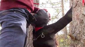 Outdoor MILF 3 Scenes: Blowjob, Bondage, and Creampie
