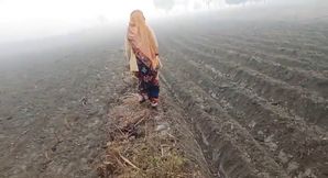 Desi Bhabhi Fuck in Sugarcane Field