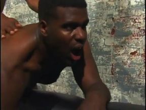 Black gay dude sucks his partner's tool before fucking