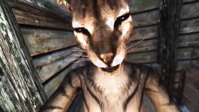 ”Oral Pleasure & Doggystyle In Skyrim Porn Parody”