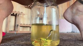 URINE BATH, corporate rats.