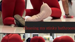 Cleaning my dirty bathroom