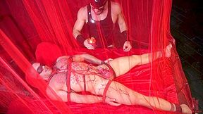 Bound Valentine: Alex Mecum Covered In Wax, Suspended, Pumped, Fucked - KinkMen