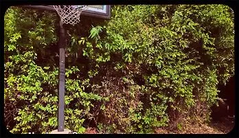 Forbidden Fantasy with Busty Blonde Stepdaughter