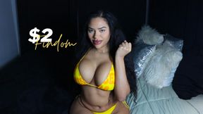 $2 Findom