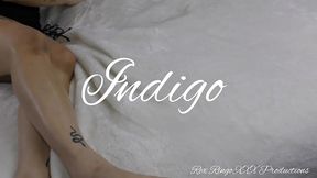 photo shoot with indigo