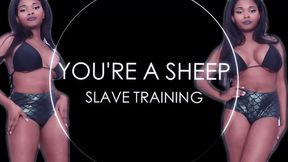 You're A Sheep