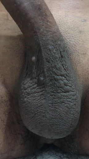 Suck My Penis, Get My Milk