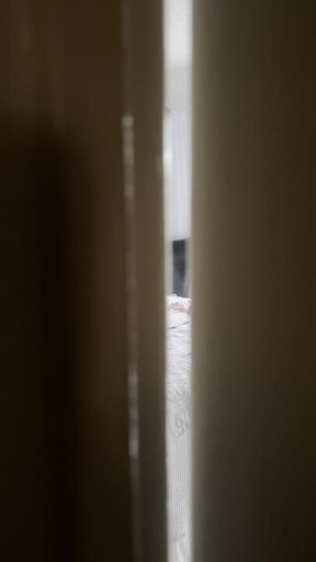 Voyeur Stepbrother gets Caught