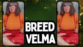 Breed Velma