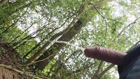 Pissing in forest