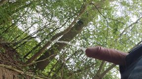 Pissing in forest