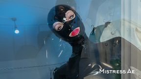 solo 1: showcasing studio, black latex catsuit, and huge red cobra strap-on