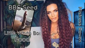 BBC SEED - LITTLE WHITE BOIS FOOD