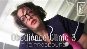 Obedience Clinic 3 - The Procedure - SD