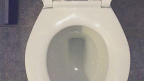 FLUSHING MY PEE DOWN THE TOILET