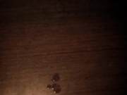 Камшот из архива 2018