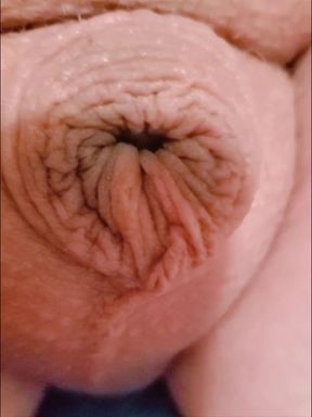 Lee Przybylowicz can go from nothing to less than nothing in seconds ....Tiny nub penis shrinks to inverted very quickly