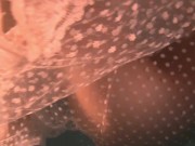 White moth in a dress underwater