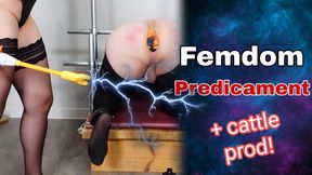 Training Zero Femdom Predicament Bondage Anal or Ballbusting? CBT Fisting Cattle Prod Discipline Real Homemade Milf Stepmom BDSM