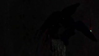 “Doing Your Chores (You Don't F*ck Me Anymore)” by: Infamous Roxie Lovesick MUSIC VIDEO &amp; SONG