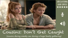 Cousins - Don't Get Caught! [Taboo] [Family Fun] [Sneaky Sex] [Secret Affair] [Romantic] [Almost Get Caught]