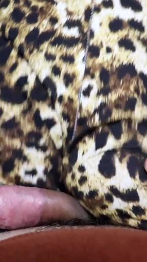 POV Assjob Lap Dance in Sexy Leopard Shorts   Clip 2