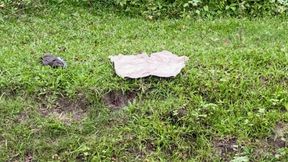 Enjoying Alone in Jungle Indian ***