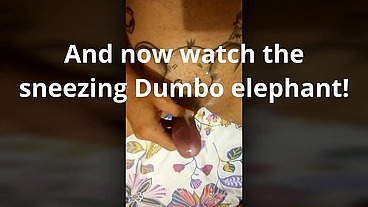 TS Angelique Monroe - Dumbo ...