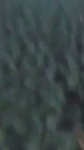 Momentos de viagem   Clip 1