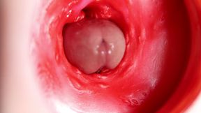 This beautiful pussy is pulsating and squeezing my cock! Camera inside the hole!