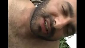 Ursos Grandes Peludos E Mansos chunk 3