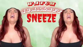 Watch Scarlett Sneeze (wmv)