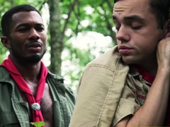 Let's do it like they do on the Discovery Channel