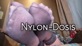Nylondosis 11 (kleine Version)