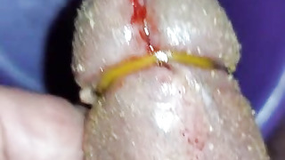 Pain cbt insertion bdsm pervers futter für maggots