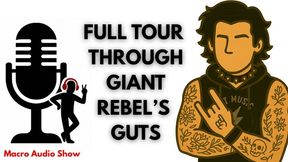 Full Tour Through Giant Punk's Guts