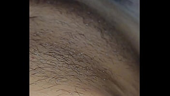 paja 1