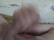 Safádo gazando batendo uma
