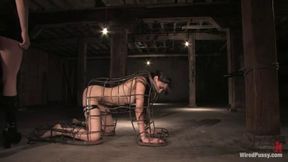 Sasha Grey: Submissive Electro-Whore