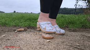 Mila in Clogs - Crunchy buns