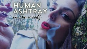 🚬 🌲 Human Ashtray in the Woods