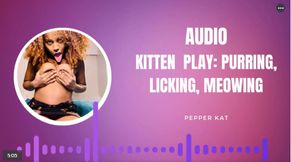 Kitten Play Audio: Purring, Meowing, Licking