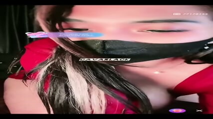 Violine Mangolive 8