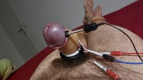 Et312 estim electrified acorn that runs away