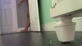 Amazon Giantess Megan Jones Dominates & Devours Tiny Invaders (SD 720p WMV)