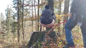 Desperate to Pee, She Has to Pee with Leashed Butt Outdoor