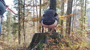 Desperate to Pee, She Has to Pee with Leashed Butt Outdoor